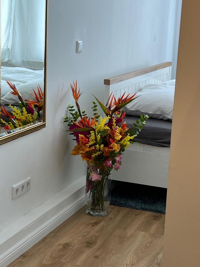 Moderne Wohnung In Der Innenstadt Von Bad Oeynhausen Ngoại thất bức ảnh